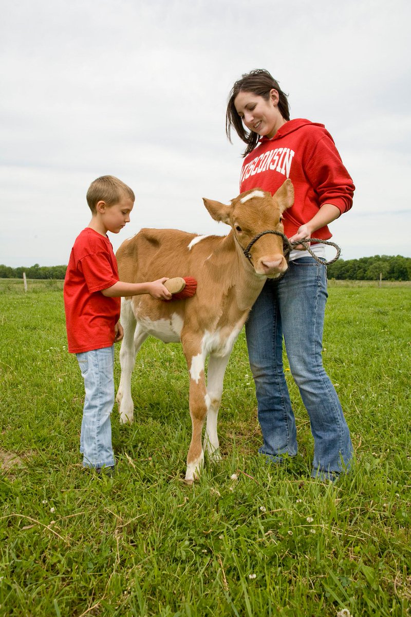 America's Dairyland (@widairyland) on Twitter photo Happy National #AgDay from America's Dairyland! Ag students: We want to know: why are YOU are excited to start your career in ag?
“We all have to believe in the future of agriculture because it is a critical industry for all people. .” -Kate VandenBosch, Dean, <a href="/UWMadisonCALS/">UW–Madison CALS</a> Happy National #AgDay from America's Dairyland! Ag students: We want to know: why are YOU are excited to start your career in ag?
“We all have to believe in the future of agriculture because it is a critical industry for all people. .” -Kate VandenBosch, Dean, <a href="/UWMadisonCALS/">UW–Madison CALS</a>