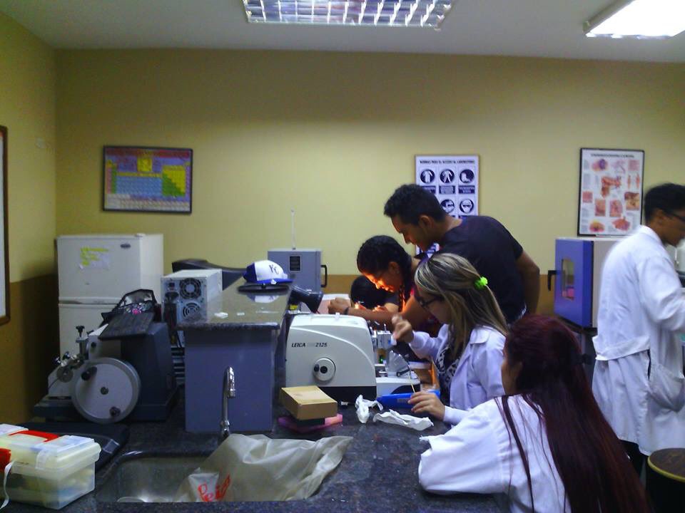 uam_ve's tweet photo. Estudiantes de las Licenciaturas Citotecnología e Histotecnología realizando sus prácticas 🔬 #UAM https://t.co/1WzJxPrkLo