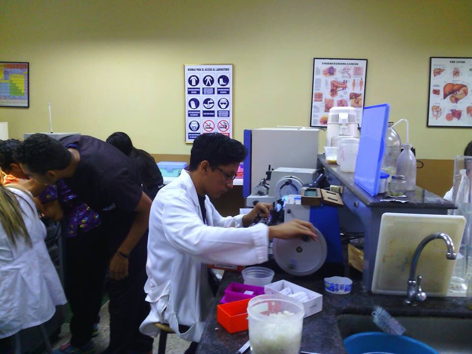 uam_ve's tweet photo. Estudiantes de las Licenciaturas Citotecnología e Histotecnología realizando sus prácticas 🔬 #UAM https://t.co/1WzJxPrkLo