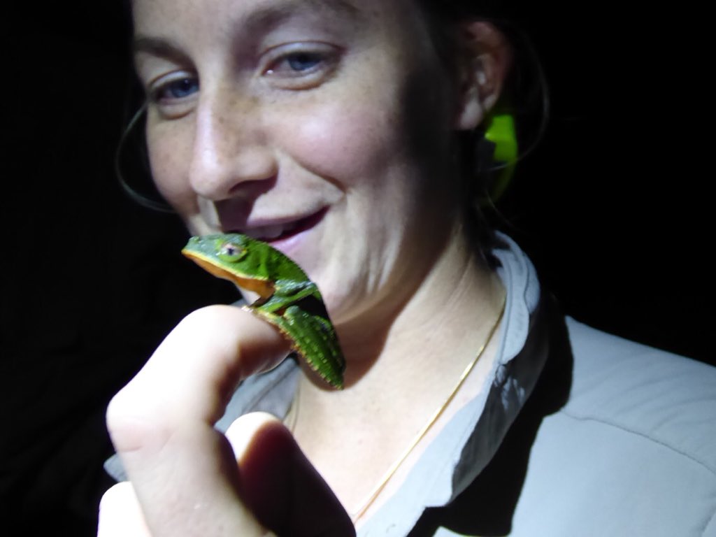 Boatanist's tweet photo. Apparently it’s both #worldfrogday AND #InternationalDayOfHappiness what better combination! This image is from @Brit_exploring #Amazon2017 expedition - shame no one told the frog about the happiness part... 🤣 Featured: Science Leader Georgie Sweet. Photo: Dr Owen van Gijn https://t.co/yzcI8Nmi5I
