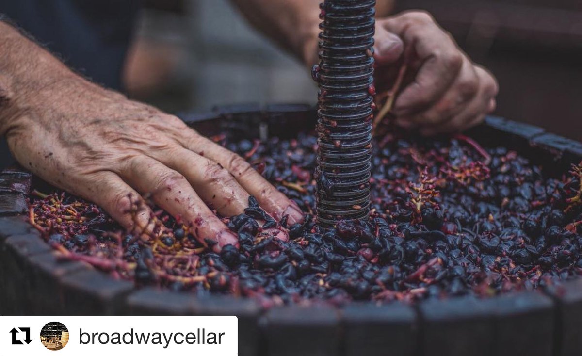 WinetoSrl's tweet photo. Tutta la bellezza del lavoro di un viticoltore! 🍷 @WinetoSrl #wine #wineto #instawine #instawines #winelover #winetasting #winemaker #winelovers #redwine https://t.co/39S1MC0aGK