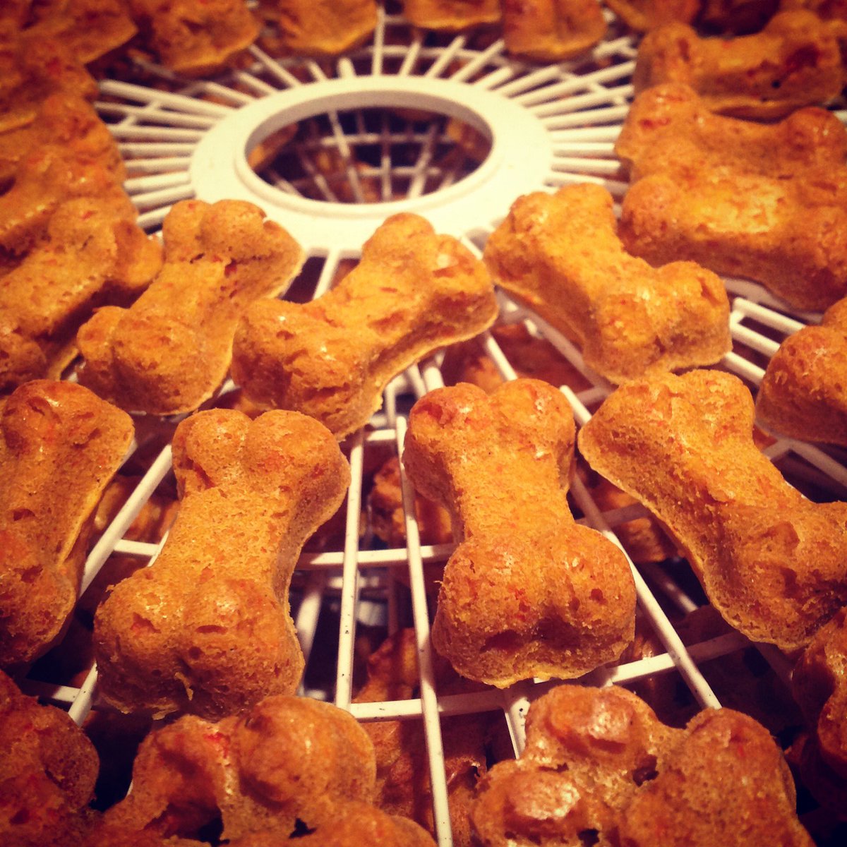 Fully_Activated's tweet photo. Organic, gluten free and calming. What could be a better treat for your pup?! #cannabidiolcanines #gooddog #madewithlove #locallygrown #neverimported #cbd4allwalks #cannabidiolcreatives #dogtreats #youcaneatthemtoo #glutenfree #nongmo #dogsoftwitter #naturalhealing https://t.co/WIhKgxrV0J