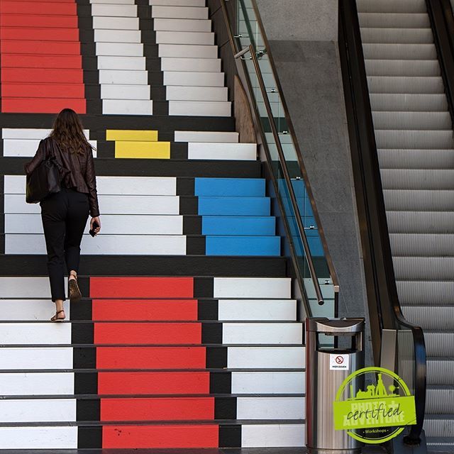 PADuisburg's tweet image. #fotoworkshop in Den Haag mit Klaus Wohlmann am 20.05. - gemeinsam einen Tag lang die Stadt erkunden und neue Perspektiven finden: bit.ly/DenHaag_KW
@kwohlmann #denhaag #pacertified #paduisburg ift.tt/2HQz7su