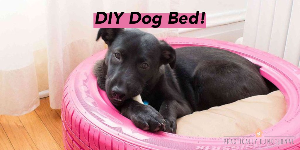 FloorswithFlair's tweet photo. Are you a DIY lover who sees one person's trash as another person's treasure? Or in this case, a dog's treasure! With this clever idea, you can create a safe place for your pup while also saving our environment. Check it out:
https://t.co/UgE0bmsoJf https://t.co/zY5SpFVcO5