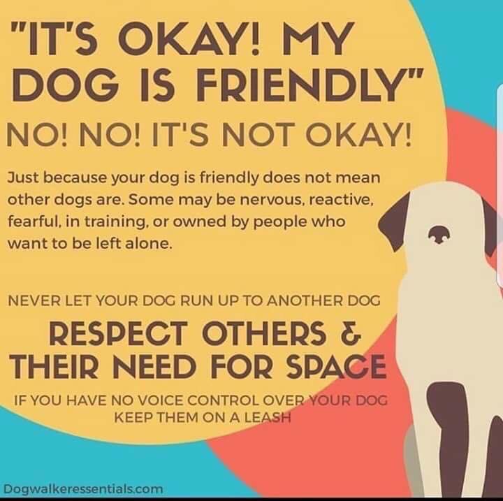 What Does A Yellow Lead On A Dog Mean