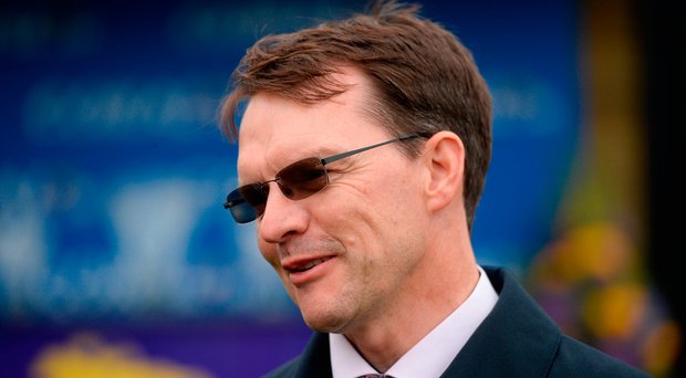 Image result for aidan o'brien