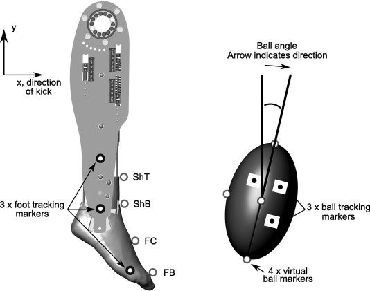 JBiomech's tweet photo. The influence of joint rigidity on impact efficiency and ball velocity in football kicking
https://t.co/bdEFJAQYuv
#biomechanics #football https://t.co/AFdAriTzyt