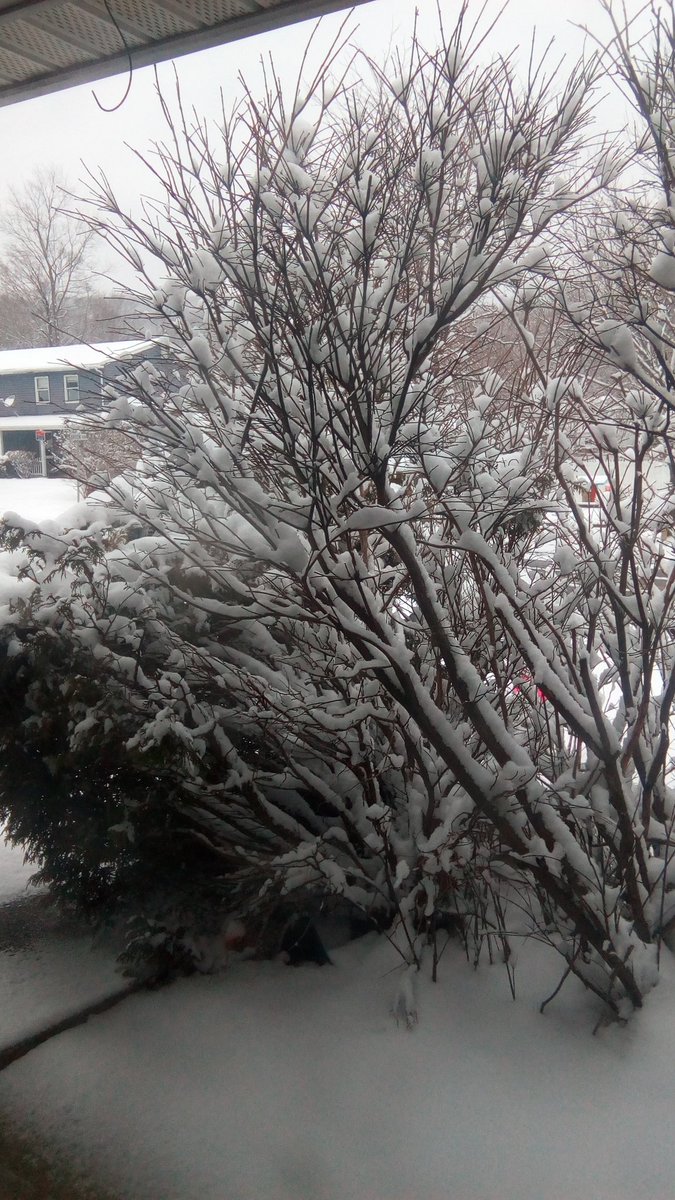 DeeKaye2010's tweet image. Spring?! What Spring?? 😑😵😠 #WTF #noSpringhere #PAproblems