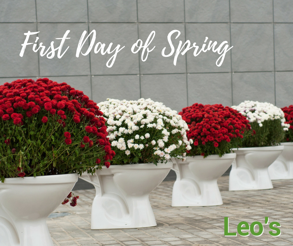 Happy #FirstDayofSpring! 🌼