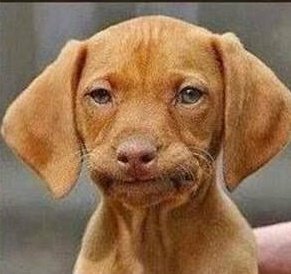 #SDVAmoGente
Quando vc sabe que twitter foi pra vc