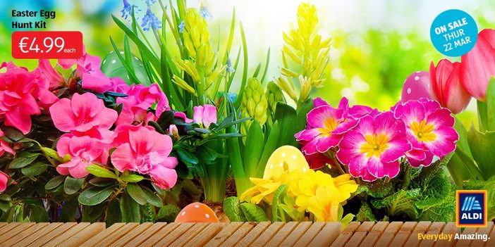 Put your Easter egg hunt skills to the test &amp; tell <a href="/Aldi_Ireland/">Aldi Ireland</a> how many eggs are hidden for your chance to WIN a €20 Aldi voucher! 🐰