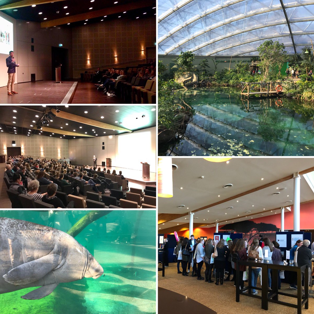 #Ambassadeursdag 2018 van <a href="/visitveluwe/">VisitVeluwe</a> en @RBTKAN is geslaagd! 180 front-office medewerkers hebben gespeeddate met 30 bekende dagattracties uit de regio’s. Daarnaast maakten zij kennis met de Vlaamse gast en de #Mangrove van <a href="/burgerszoo/">Burgers' Zoo</a> <a href="/gemeentearnhem/">Gemeente Arnhem</a>