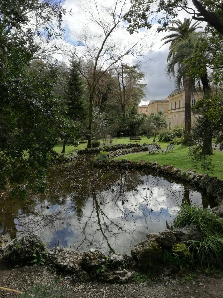 ElisaSpilinga's tweet photo. #pisa #ortobotanico #weekend #fuoriporta #romanticweekend https://t.co/OzQbBMj5v3