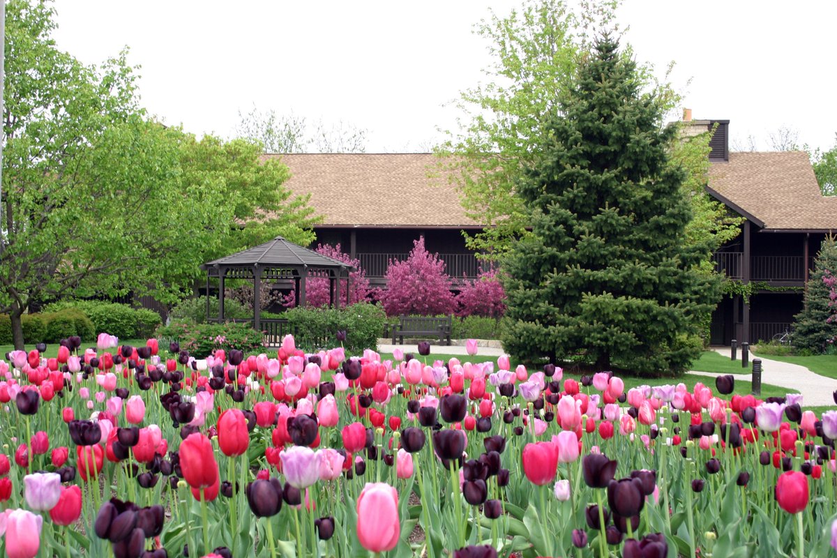 ILGreatRiverRd's tweet photo. Happy #firstdayofspring! I know it might be a bit (especially in Galena!) but I can't wait for those spring flowers to bloom along the #GRRIL  @VisitGalenaOrg @BWCVBtourism @visitnauvoo https://t.co/S16GGgKRGI