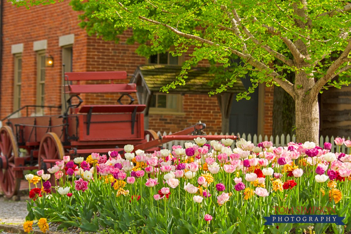 ILGreatRiverRd's tweet photo. Happy #firstdayofspring! I know it might be a bit (especially in Galena!) but I can't wait for those spring flowers to bloom along the #GRRIL  @VisitGalenaOrg @BWCVBtourism @visitnauvoo https://t.co/S16GGgKRGI