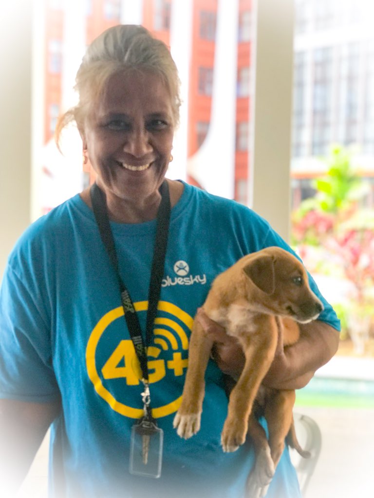 ArielaZibiah's tweet photo. Starting the day with a happy story. Remember that pup I kinnav adopted because conference venue staff who’d found him on the road couldn’t really keep him.....?(pix1&3) welllll, found her a home (pix2)🙃💯💟 #talofalava 🐶 #animallover #dogs = #best #life #happyThors #oceania 🐕 https://t.co/ClD5QYrdh3