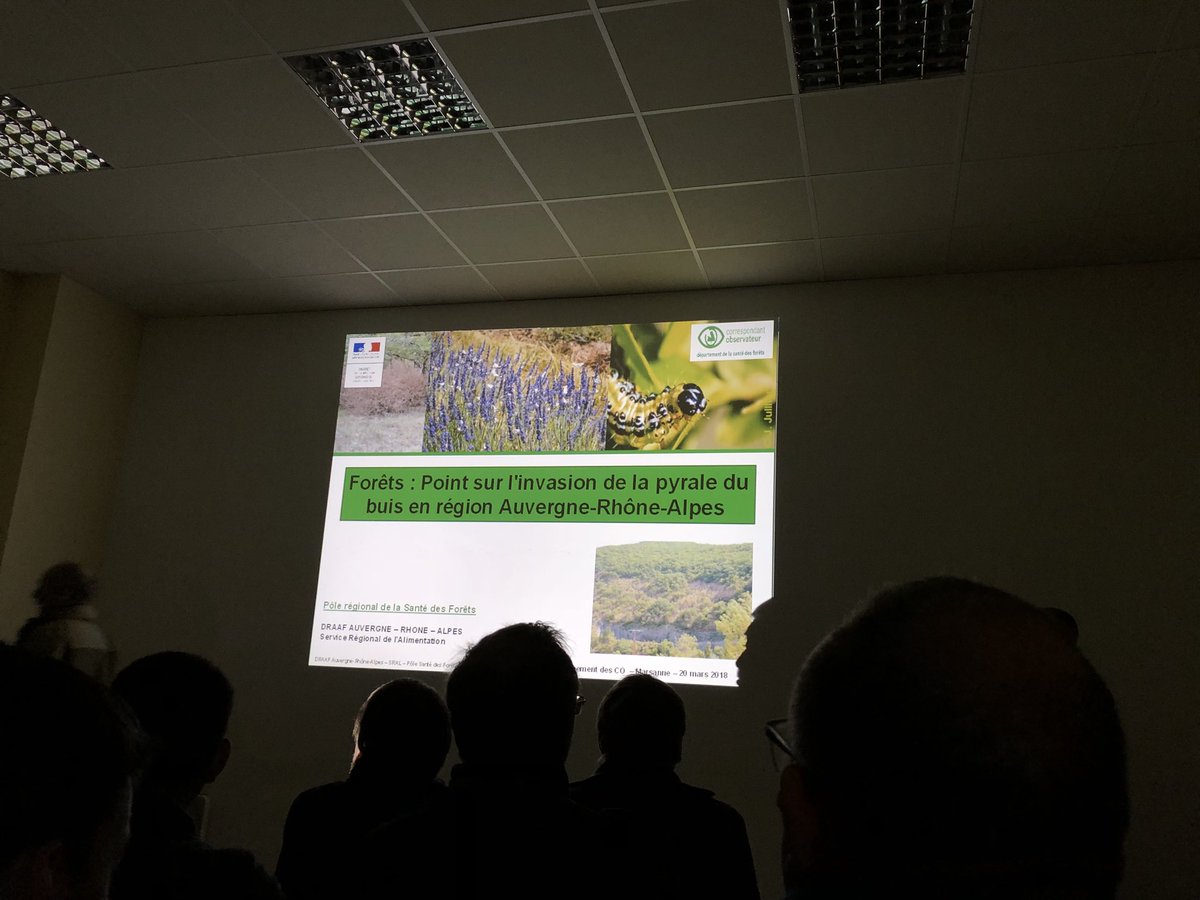 CharlesCOUEDIC's tweet photo. Journée enrichissante avec les Correspondants Observateurs Santé des Forêts Auvergne-Rhône-Alpes, la DDT @Prefet26, la DRAAF @prefetrhone et le Département de la santé des forêts #DSF @Min_Agriculture autour de la #Pyrale du #Buis et des #dépérissements dans les pins @condillac https://t.co/EuaXLgPgWZ