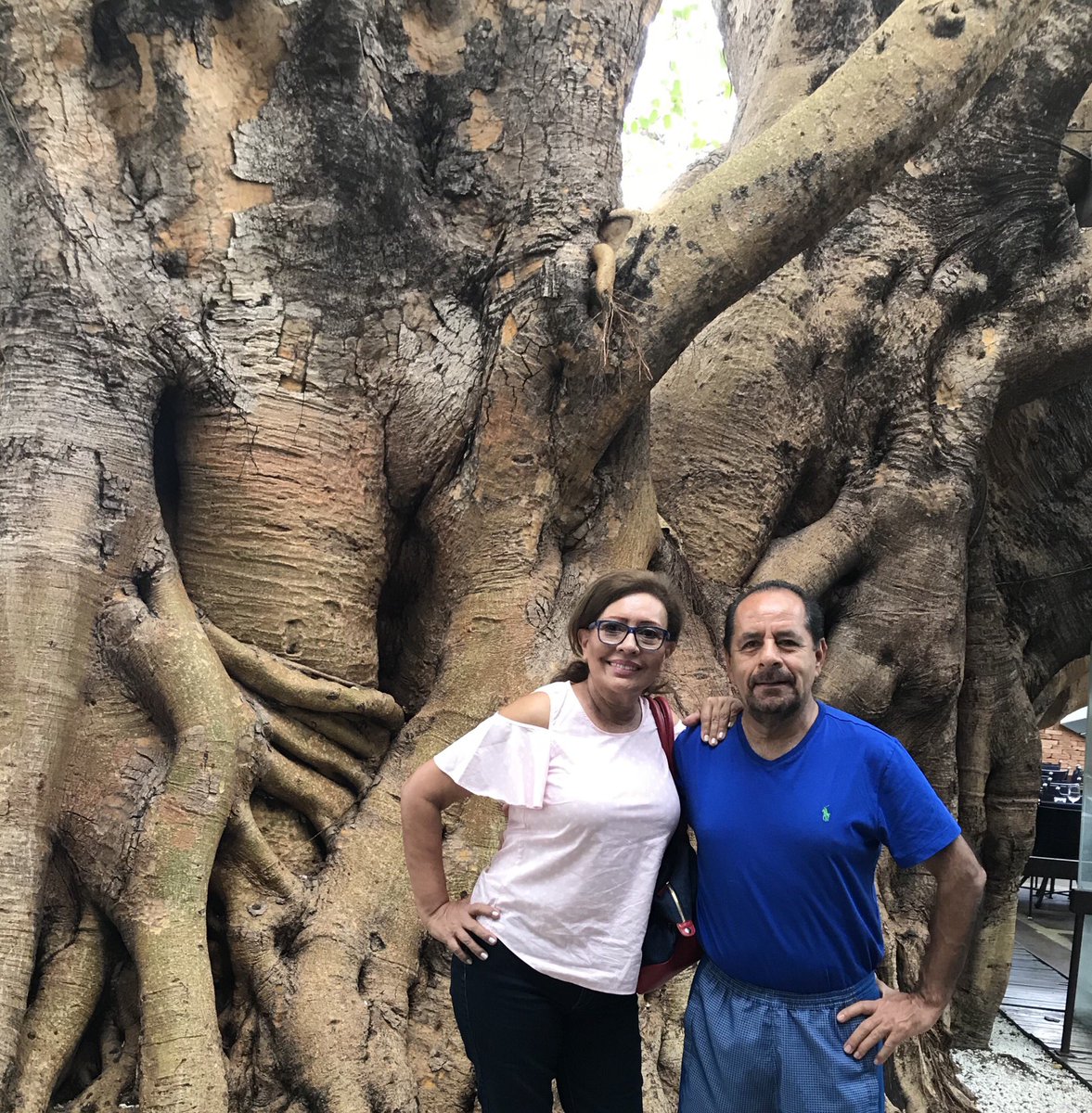 jaimechavezsuar's tweet photo. Camino a la Asamblea de Cooperativas   Sicredi en Brasil. Recorriendo lugares de Sao Paulo https://t.co/TsDkiIF6FA