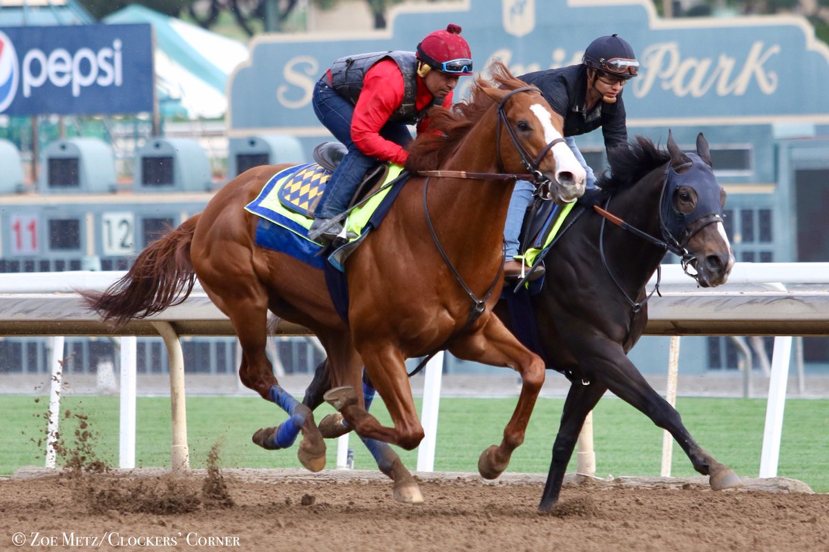 JUSTIFY worked the bullet for 4 furlongs going in :46.40 <a href="/santaanitapark/">Santa Anita Park</a>.