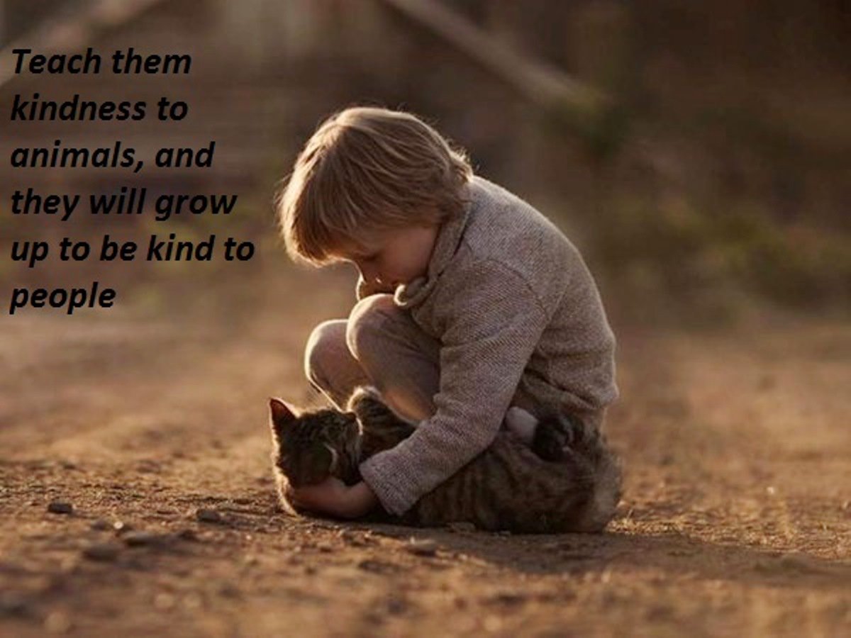 4PawsRescueUT's tweet photo. Maybe kindness is the answer.  Teach children to be kind to animals, other children, and everyone they encounter, and maybe society will eventually get better. https://t.co/XQtmhVQD76
