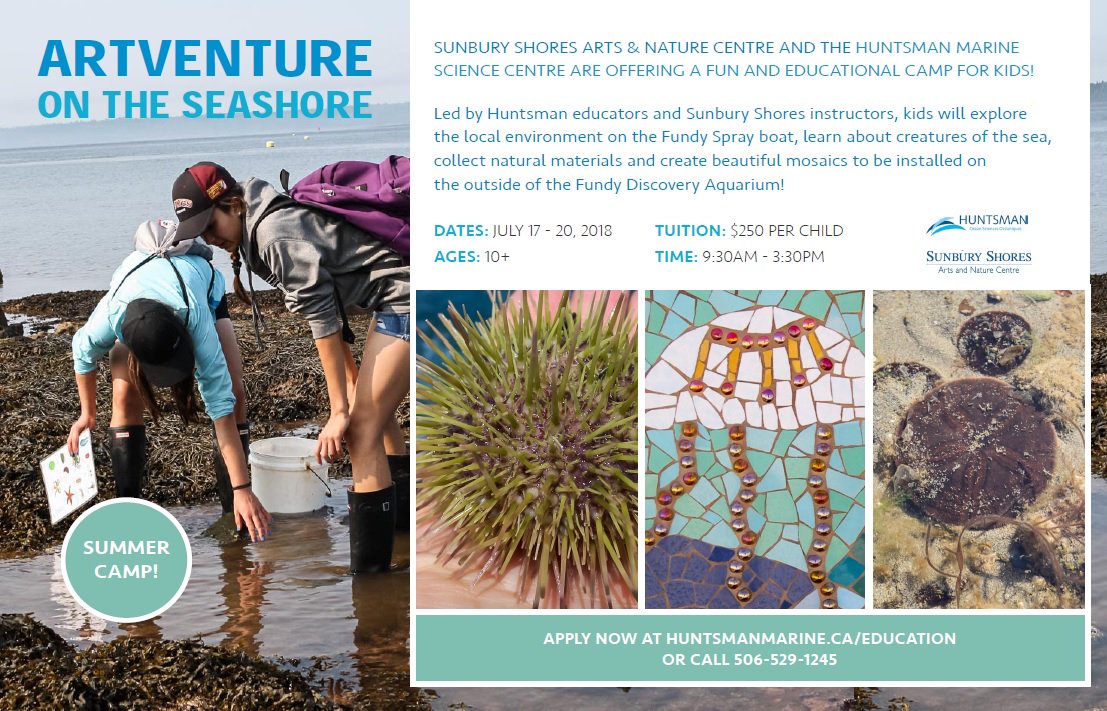 Artventure on the Seashore, for children 10+, July 17-20, two days <a href="/FundyAquarium/">Huntsman Aquarium</a> &amp; two days at @SunburyShores1. huntsmanmarine.ca/wp-content/upl…