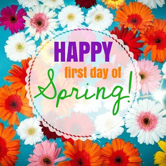 PrettyPools's tweet photo. We're that much closer to #swimming season!! 😍 🏊‍♀️ 

#PrettyPools #PoolService #PoolCleaning #PoolRepair #PoolSupplies #SwimmingPoolSupplyStore #SwimmingPoolSupplyStoreFlowerMound #FlowerMound #DFW #Spring #FirstDayOfSpring https://t.co/OgciYXXDyq