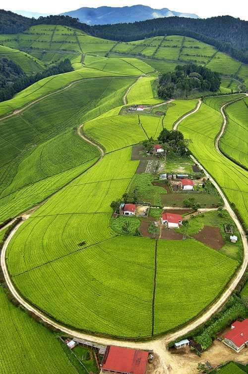 The beauty  of Rwanda makes it special. Servas Rwanda welcomes Servas  travellers from all around the world to visit Rwanda the country of thousand hills and million opportunities