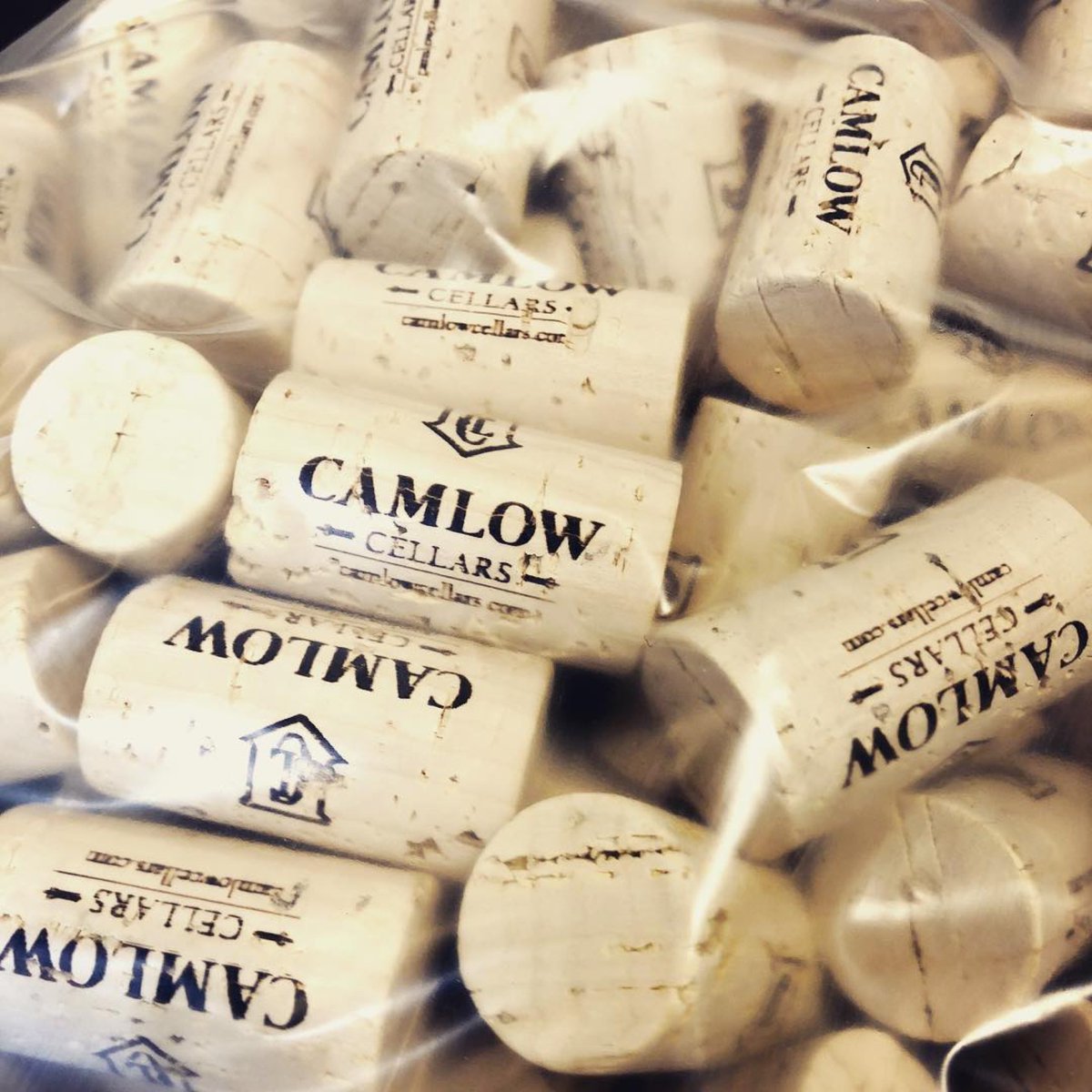 Time to unleash the Big Pig! 
#camlowcellars #greenvalley #PinotNoir #corksfordays