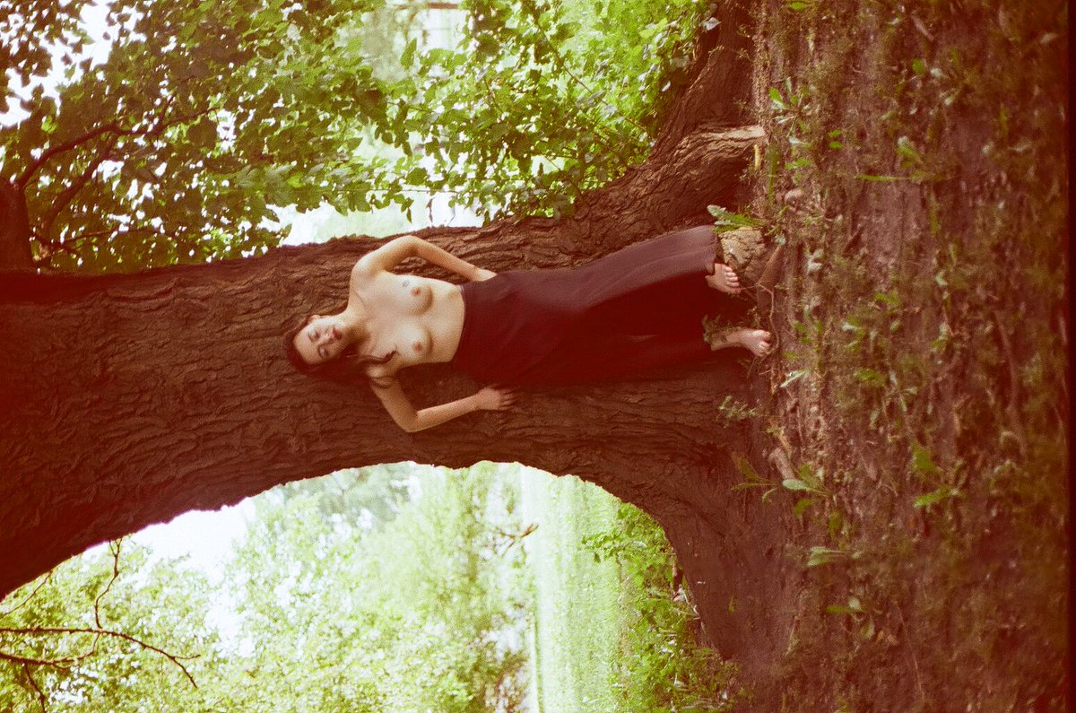 Sxc Market tweet media