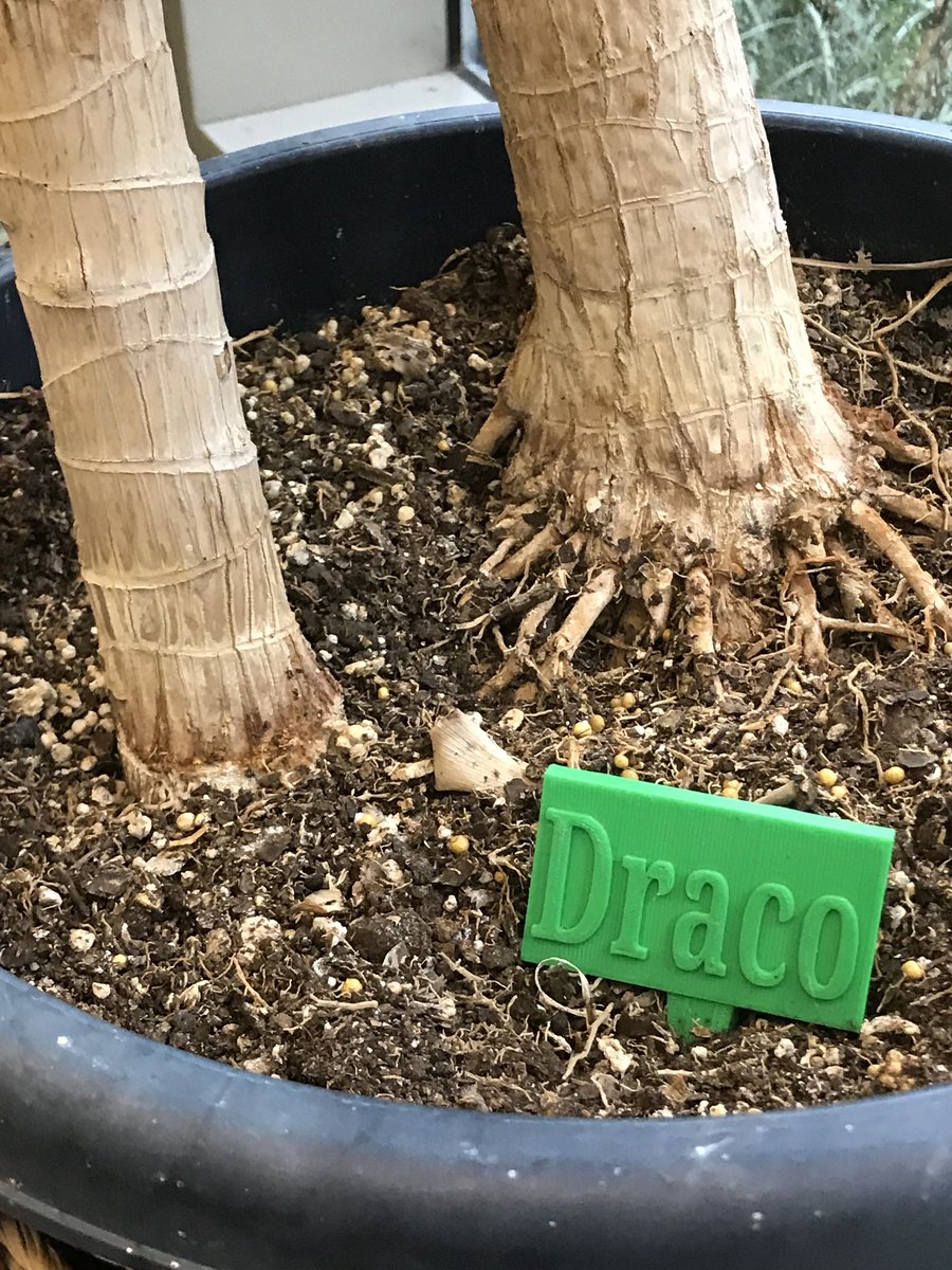 phslibt's tweet photo. Love that 2 young ladies exuberantly entered the library last week and announced that they were Hufflepuffs... and wanted to learn how to 3D design plant signs... so they could name the library plants!! They have submitted over 20 now @PowhatanHS!! 🌱🌻#phsmakes #happyphsplants https://t.co/6ir2kENQRM