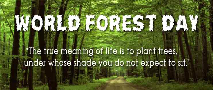 sureshtewariBJP's tweet photo. Nature provides a free lunch, but only if we control our appetites. #WorldForestryDay
Lets take a firm resolution in our inner conscience to support the plantation of trees before its too late.
#THINKCLEAN
#GOGREEN
#KeepThisWorldGreen
#SAVEFOREST https://t.co/Pa7lJgHlVe