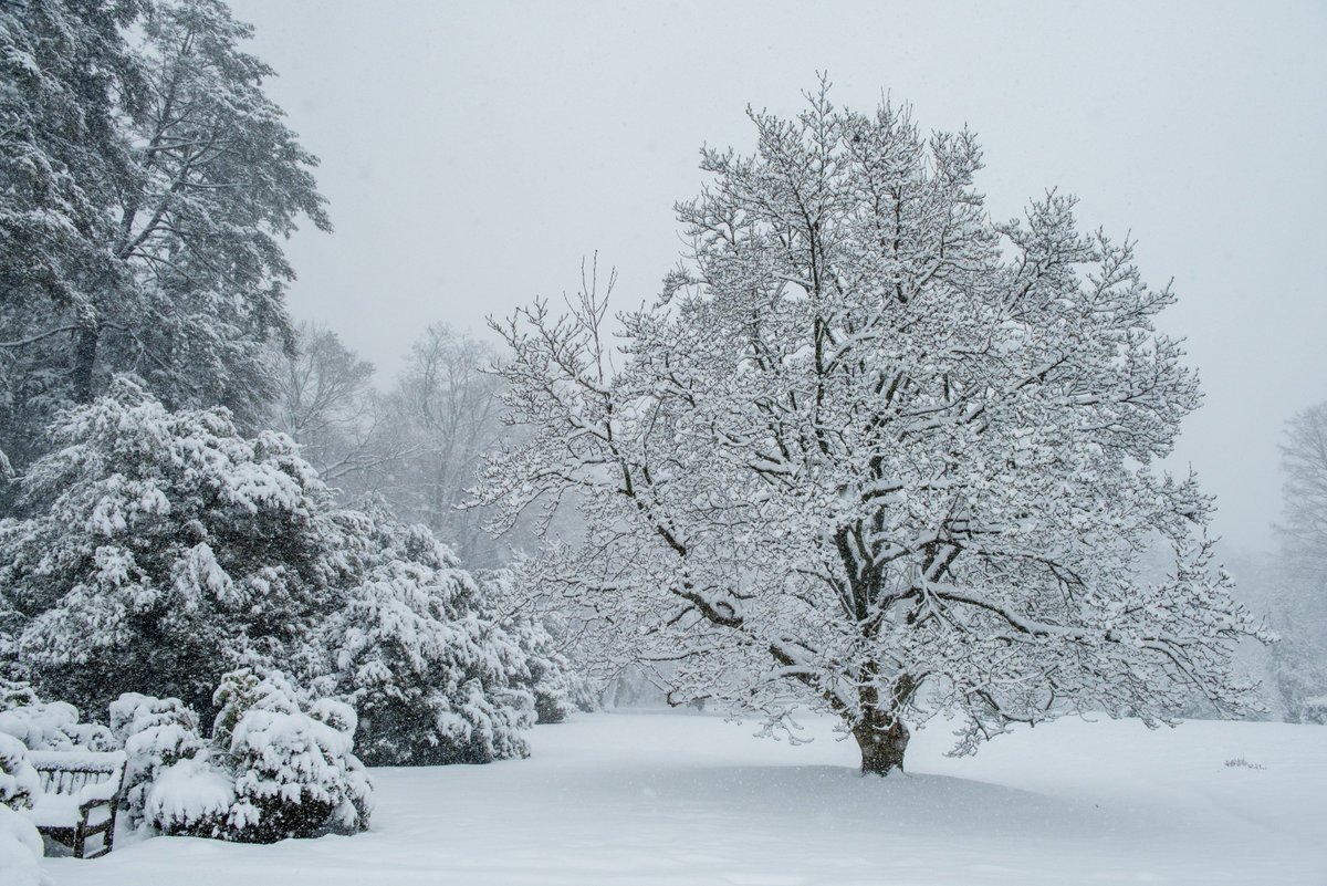 Longwood Gardens On Twitter Due To Inclement Weather The