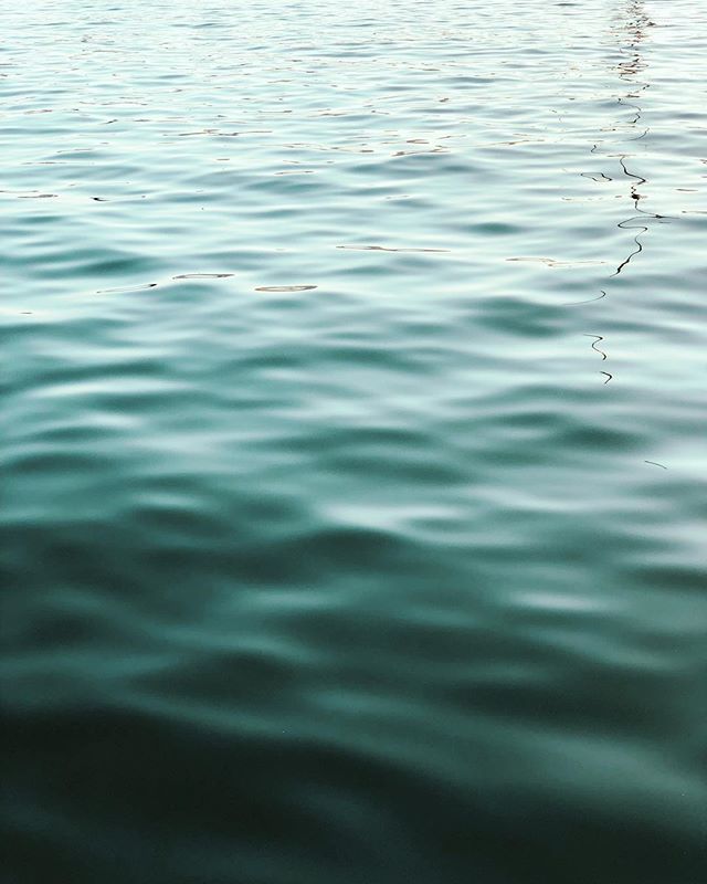 CollectiveNetw's tweet photo. And like the sea, I’m constantly changing from calm to hell.
.
Quote: Dallas Green
.
We’re as calm as this shot from @thethreeshot .
#staycalm #keepcool #hell #calm #water #atpeace #quote #quoteoftheday #dallasgreen #minimalism #green #ilovesydney #ig_au… https://t.co/kFth17I3k8 https://t.co/Mqp7DYyKpx
