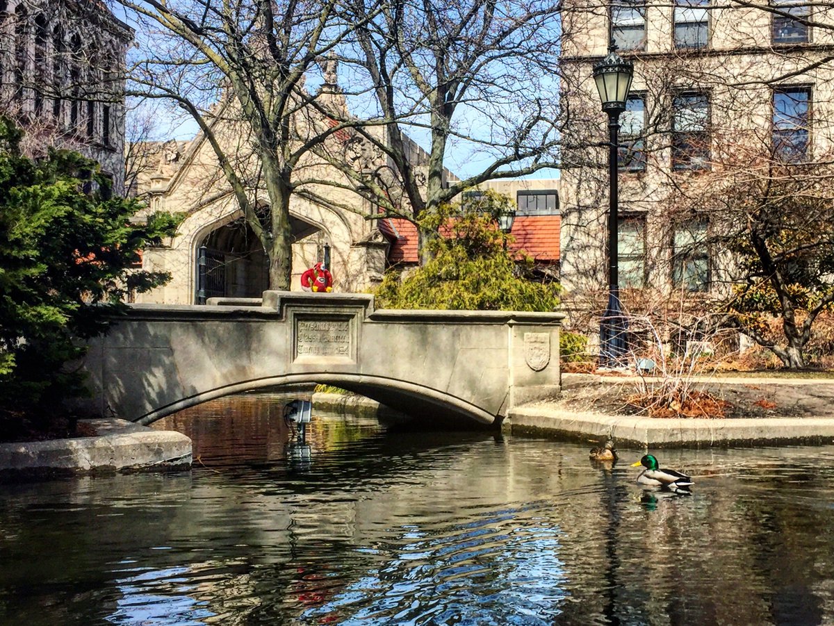 ThisIsUChicago's tweet photo. First day of spring! https://t.co/dW5emv3nDW