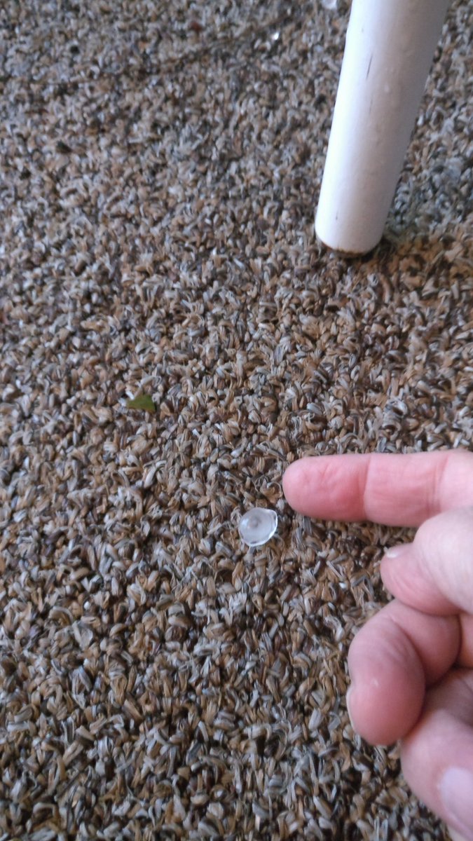 BrowderArt's tweet photo. Eastbrook Elementary area@BShieldsWFTV https://t.co/AGwkQiKqs3