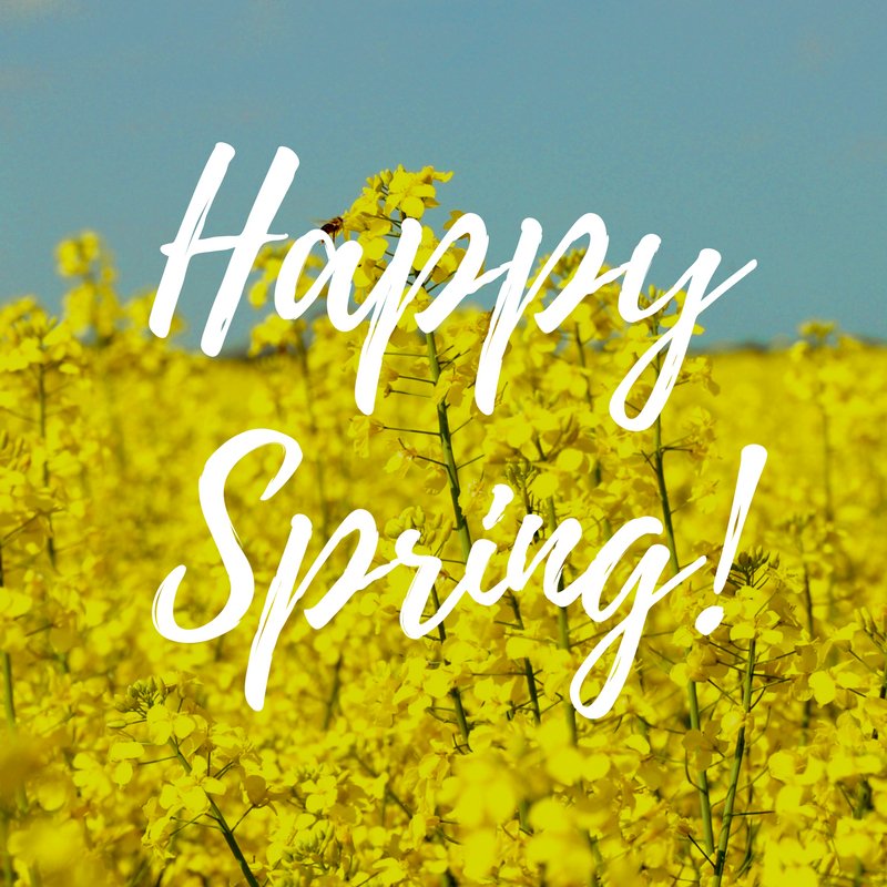 CharlesRiverCH's tweet photo. It may not feel like it, but it’s the first day of spring! CRCH hopes you will be able to enjoy spring soon by planting a garden, going on a walk or hike, having a cookout/barbeque, and more! #healthyspring #snowyspring https://t.co/CZB2gDj6LX