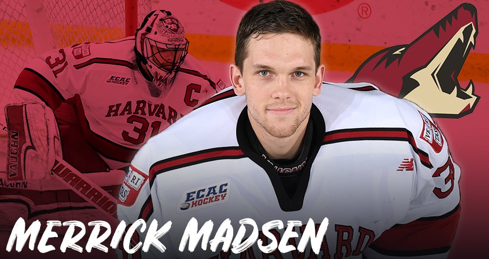 Harvard Men's Hockey tweet media