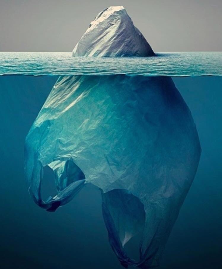 Pensez à milles fois avant de jeter vos sachets en plastique #Journeemondialedeleau #savetheplanet 🌍♻️