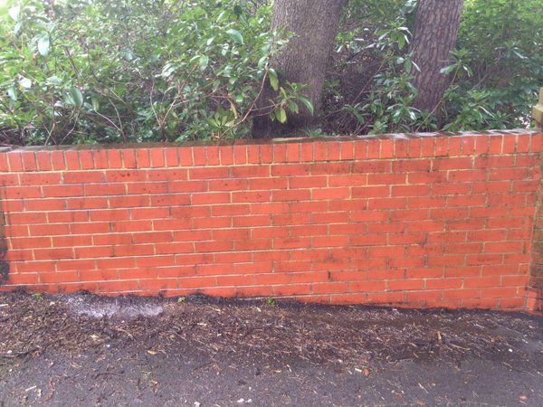 If you saw how dirty, graffiti covered and green with algae this wall was you'd not believe it came up as new!