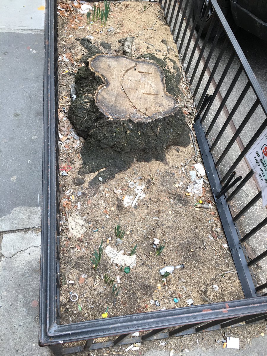 “gone but not forgotten”.