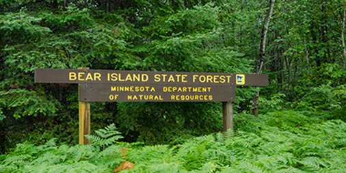 mnforestry's tweet image. Happy International Day of Forests!  Minnesota has 59 #StateForests with campgrounds, trails &amp;amp; lakes. What are you waiting for? Get out and #ExploreMN #OnlyinMN #IntlForestDay go.usa.gov/xQcEf