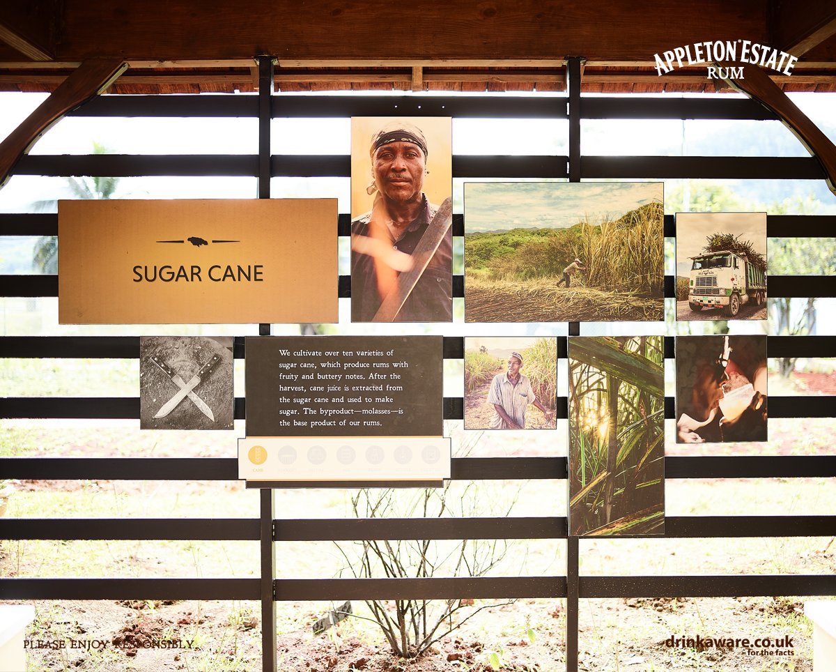 AppletonRumUK's tweet photo. Come visit us in the heart of Jamaica #AppletonEstate #RumTour #Jamaica  #Rum #JamaicaRum #CraftedwithJoy #GoldenRum #AgedRum #JamaicaLandWeLove #VisitJamaica #GoldenRum #RumTour #RumLove #CraftDistilling #BarrellAging #Distillery #Craft #craftmanship #CraftSpirits #MadeByJamaica https://t.co/SVUsRsiVJA