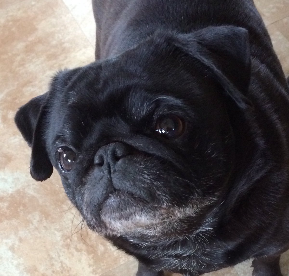 Happy Spring! 🌷#firstdayofspring