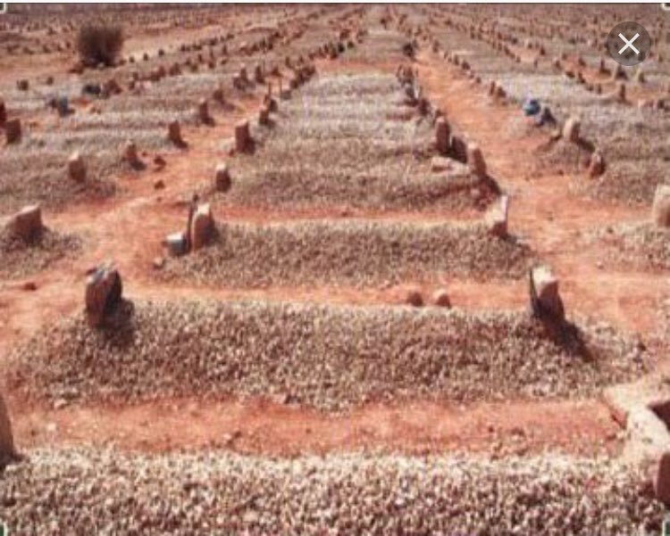 ودي أروح لـ قبر أبوي وأضمه
و أسقي ثراه الغالي بدموع عيني
فقدت عمري من فقدتك يـ بوي
شانت بي الدنيا وشانت سنيني 💔😔🥀