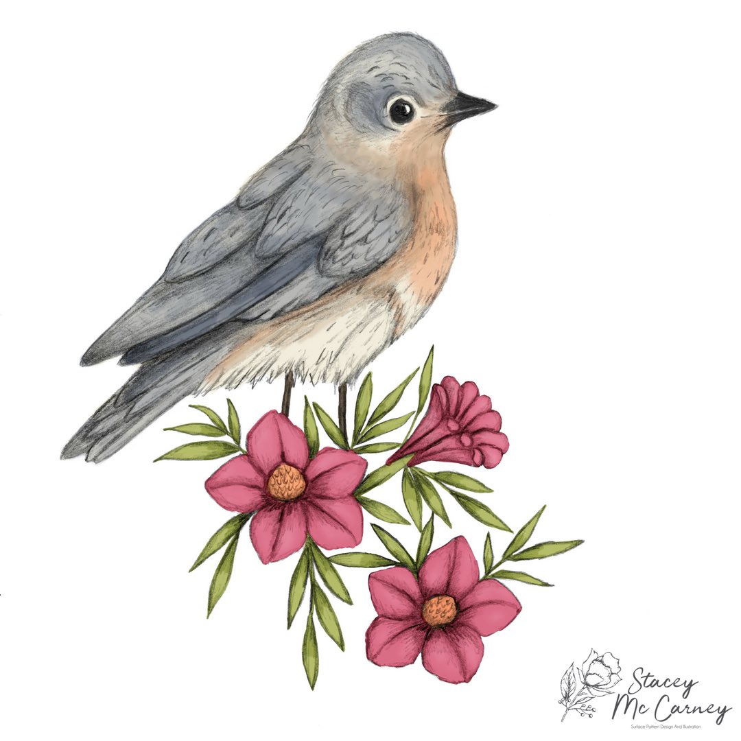 natdreamerblog's tweet image. Happy first day of Spring!🌷 #SpringEquinox #bluebird