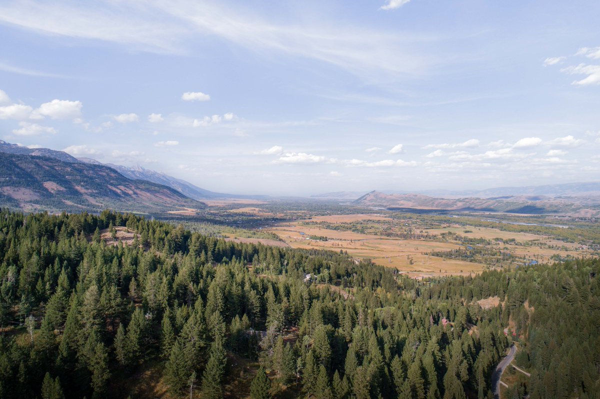KCinJacksonHole's tweet photo. SOLD! Congrats to the sellers of this beautiful #buildingsite in #indianpaintbrush in #jacksonhole. It was great to work with you! https://t.co/qGzDiRjNhl https://t.co/lOVYr3cbYc