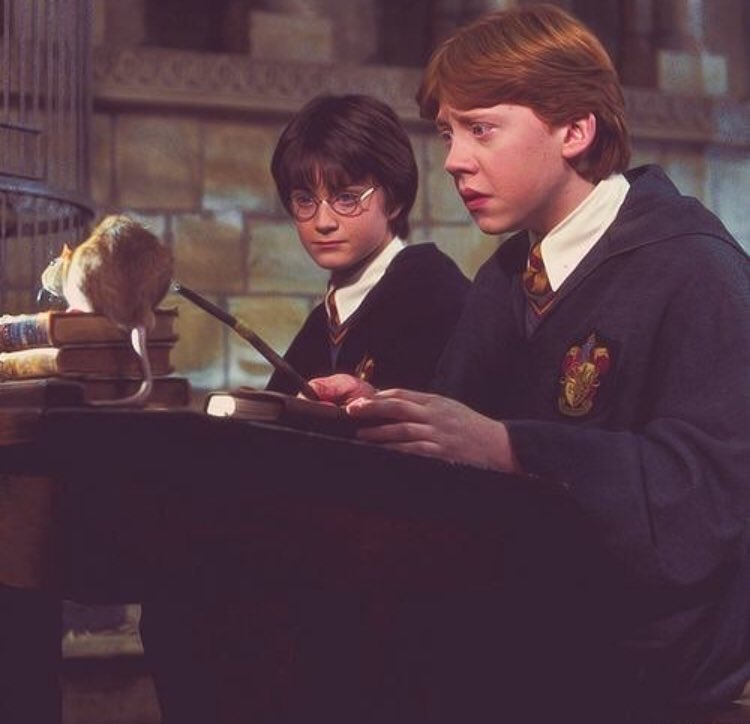 BlackpoolCopro's tweet photo. Tonight’s #selfcalm special comes from Hailey ☺️💪! Her move is watching Harry Potter ❤️
She likes to just zone out of her bad mood by relaxing & practising her spells with Harry and the gang 👀
I’m sure Potter fans will agree with this one. @ a mate that’s crazy about HP https://t.co/dZAmXBvCM4