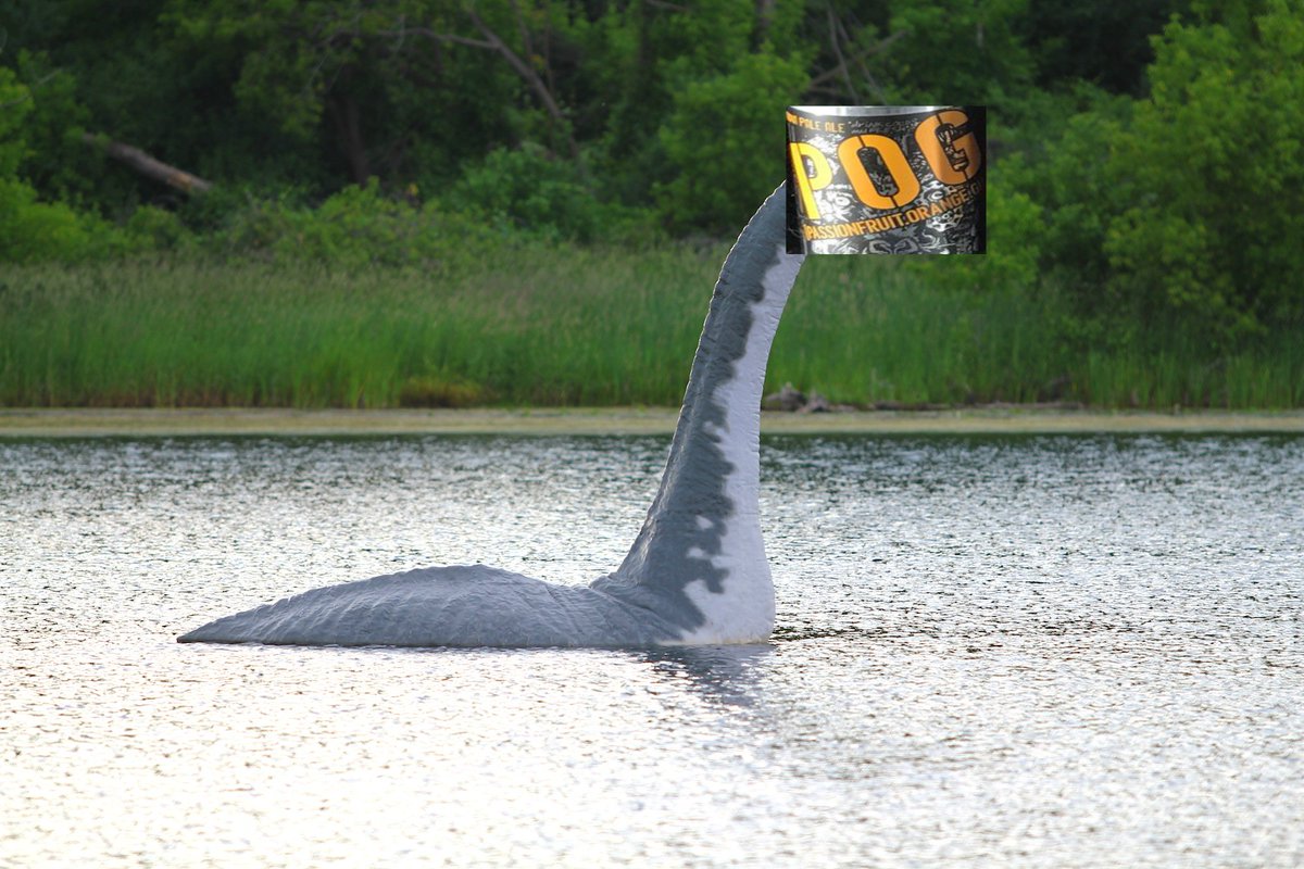 CraftBeerFactor's tweet image. Look like there has be a sighting of the POGness Monster! Word is you can catch it in a growler if you stop by. #BasementPOG @ScofflawBrewing #CraftBeer @schneids787