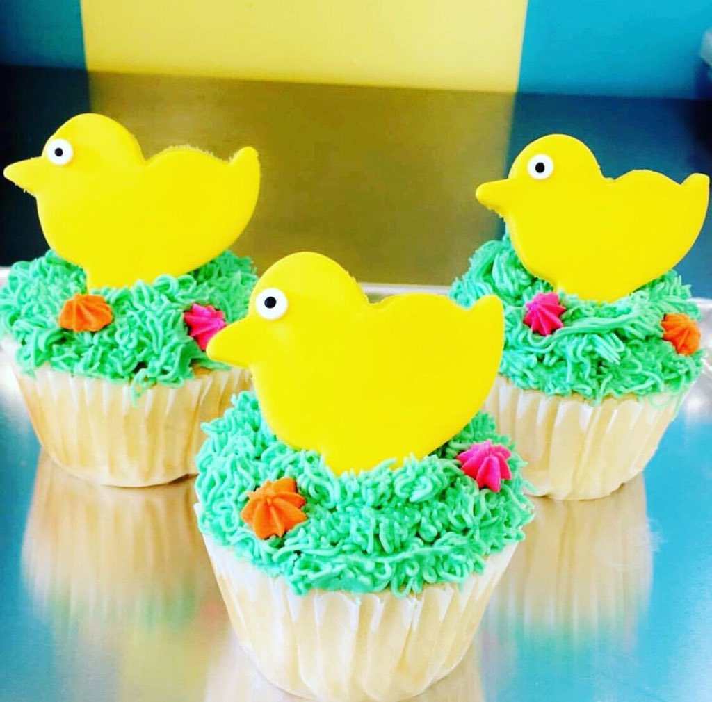 Happy 1st day of Spring (even though it’s about to be a whole  Nor’Easter outside)
#spring #flowers #1stdayofspring #bloom