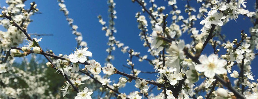 Back2HealthShow's tweet image. Cancerucan Spring Retreat back2healthevents.com/cancerucan-spr…